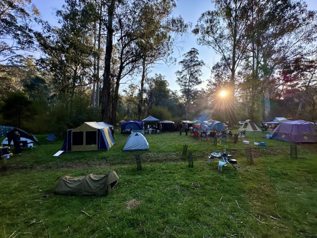 spring camp
